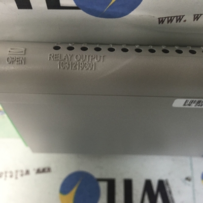 1C31219G01 Servomotor de protocolo de comunicação Ethernet/IP Westinghouse